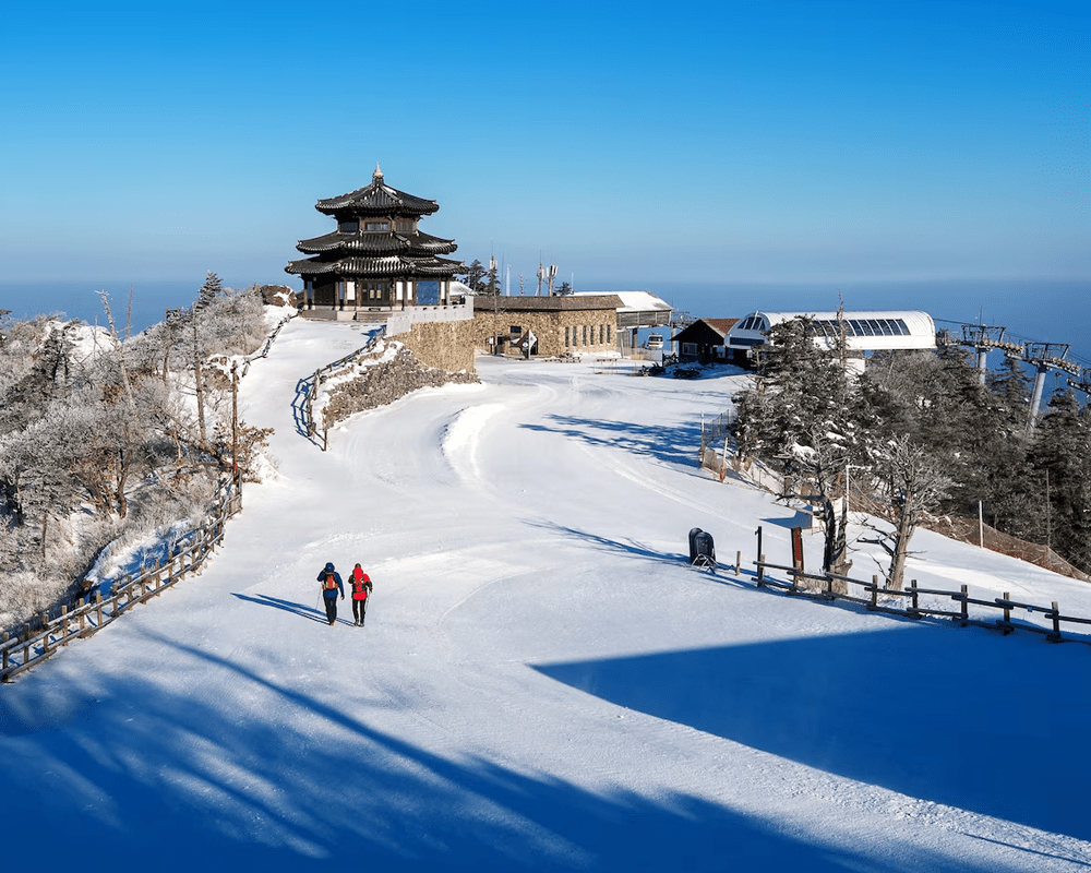 Snow covered hill station with pagoda style temple in Himachal Pradesh tour package