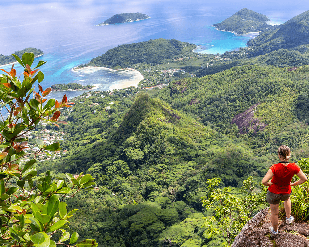 Hiker overlooking green hills and lagoon, Mauritius tour package